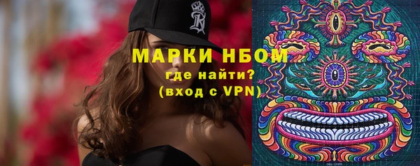 кокс Баксан