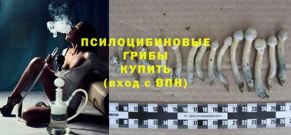 кокс Баксан