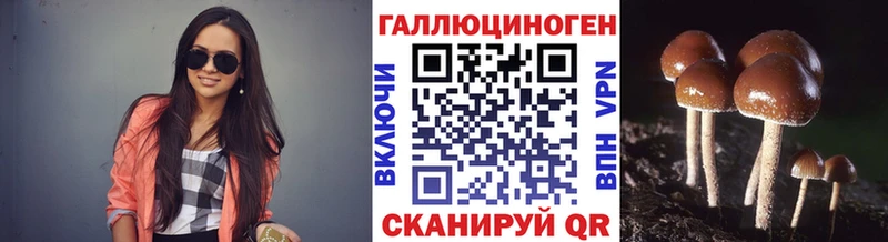 Псилоцибиновые грибы прущие грибы  Балтийск 