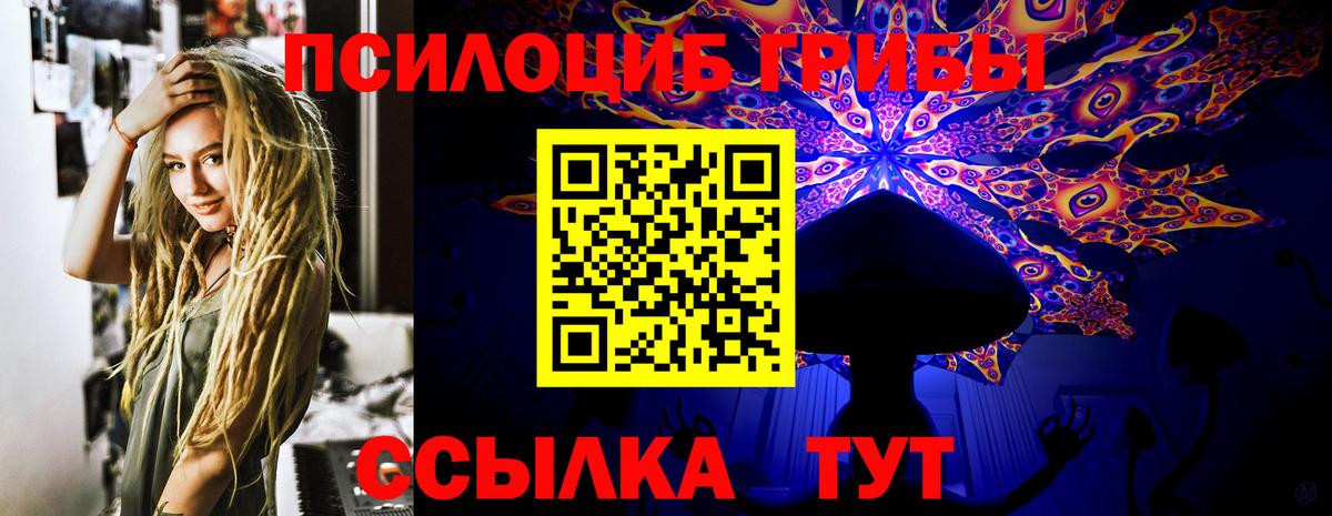 Балтийск  Псилоцибиновые грибы Cubensis  Вход с VPN 