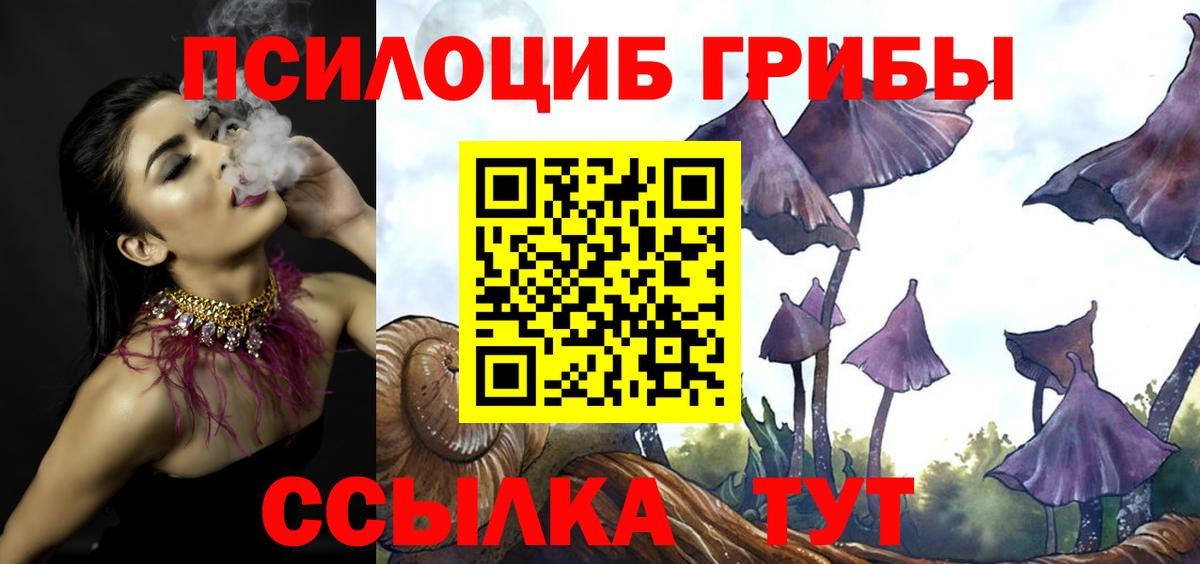 Галлюциногенные грибы мухоморы Балтийск